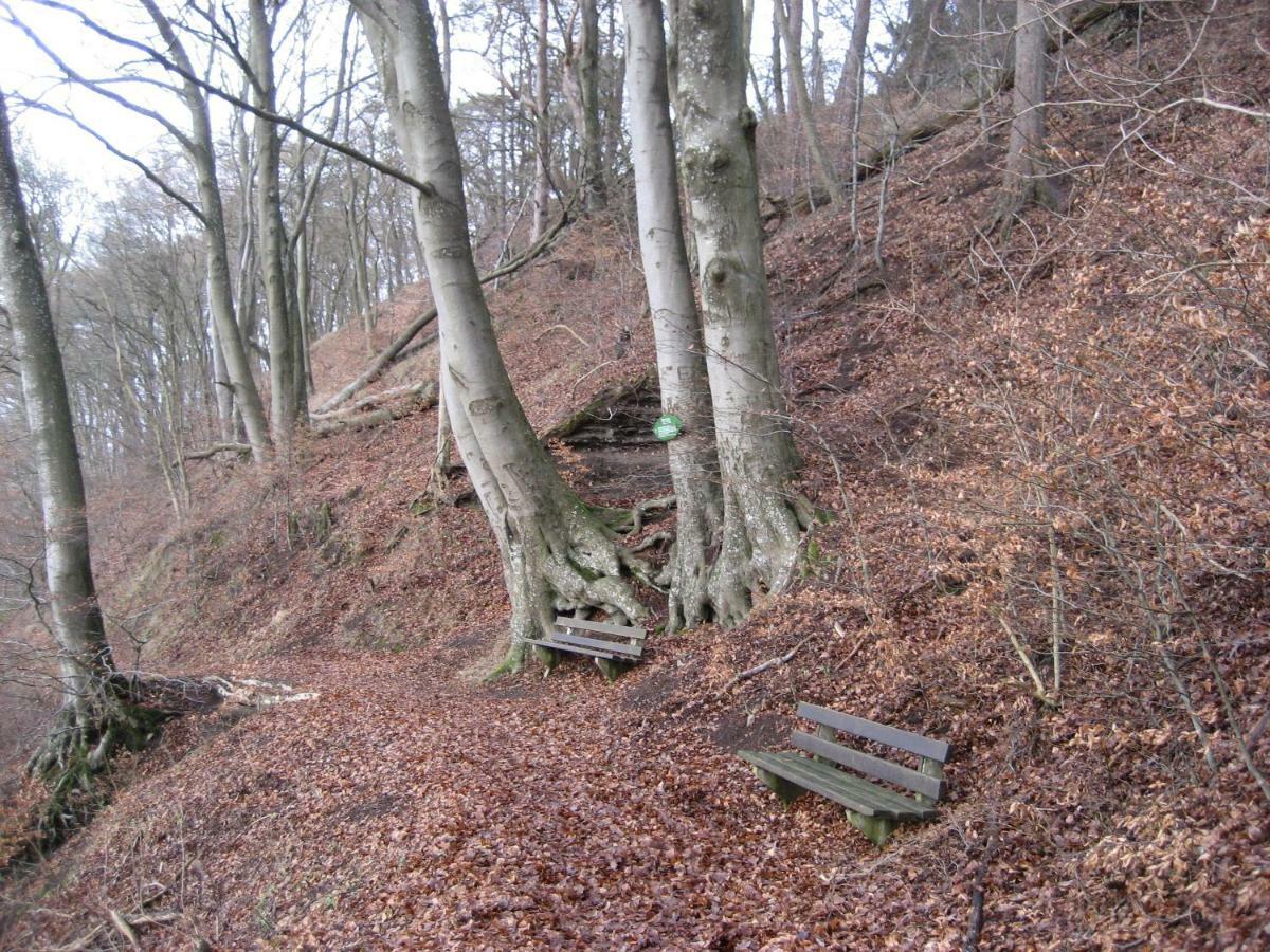 Ferienwohnung In Der Vulkaneifel Ulmen Exteriér fotografie